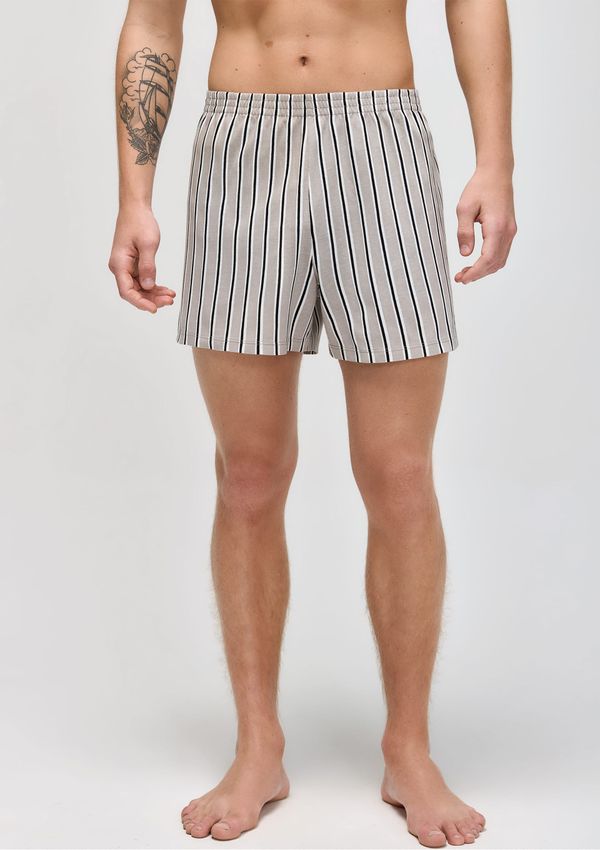 Cueca Samba Canção Estampada - Cinza G