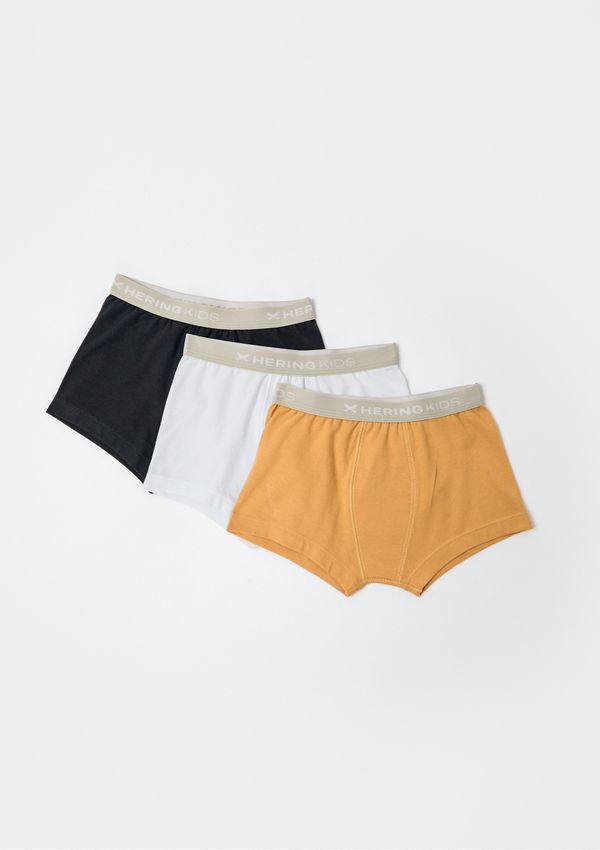Kit Com 3 Cuecas Infantil Boxer - Multicolorido 014