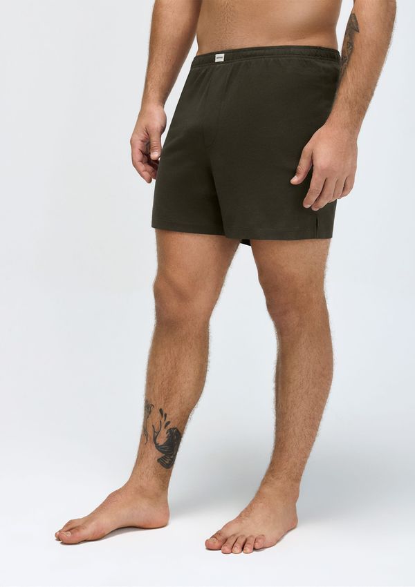 Cueca Samba Canção Com Etiqueta - Verde XG