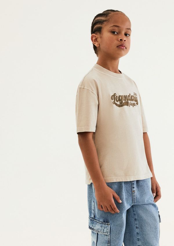 Camiseta Infantil Menino Estampada Em Algodão - Bege 014