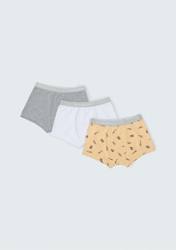 Kit Com 3 Cuecas Infantil - Multicolorido 008