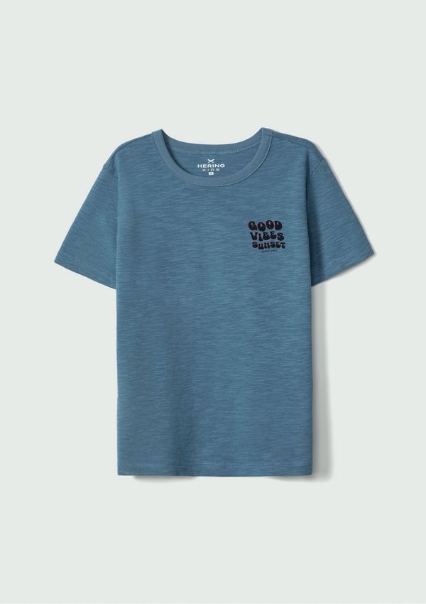 Camiseta Infantil Menino Estampada Flamê - Azul 006
