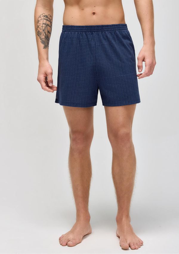 Cueca Samba Canção Estampada - Azul P