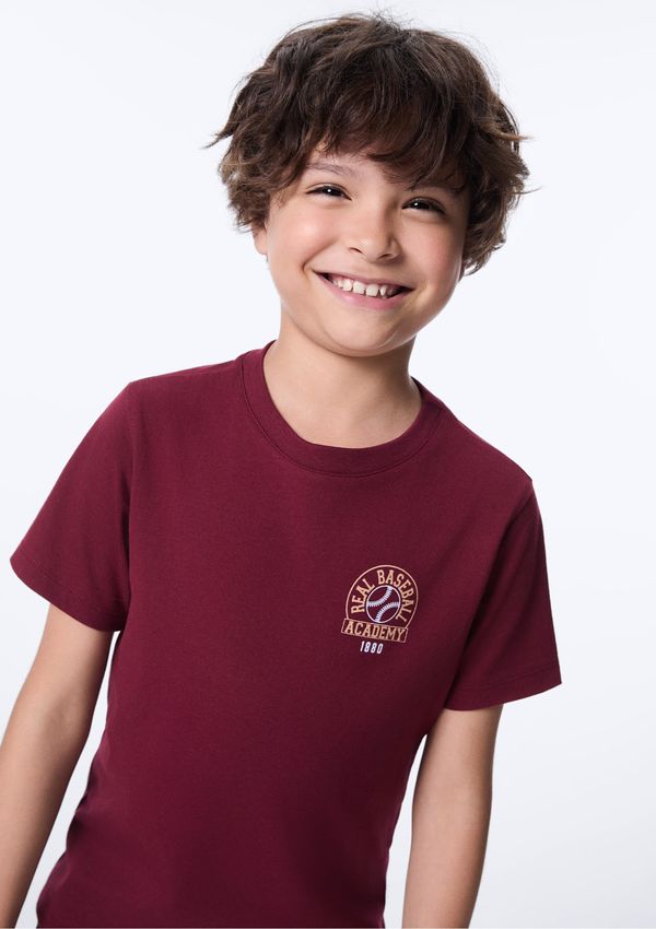 Camiseta Infantil Menino Regular Estampada - Vinho 014