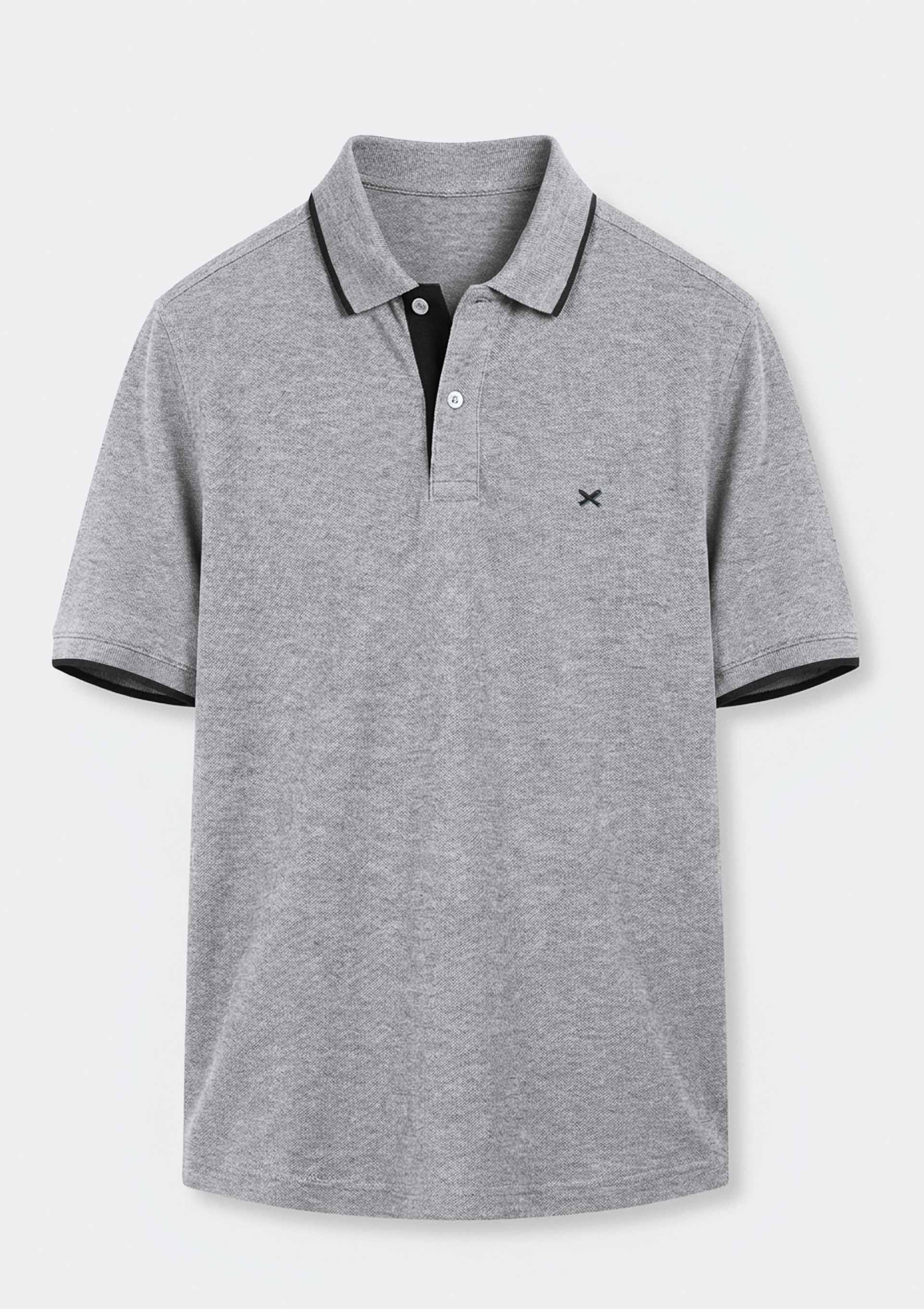 Camisa Polo Básica Masculina Em Piquet Com Bordado - Cinza