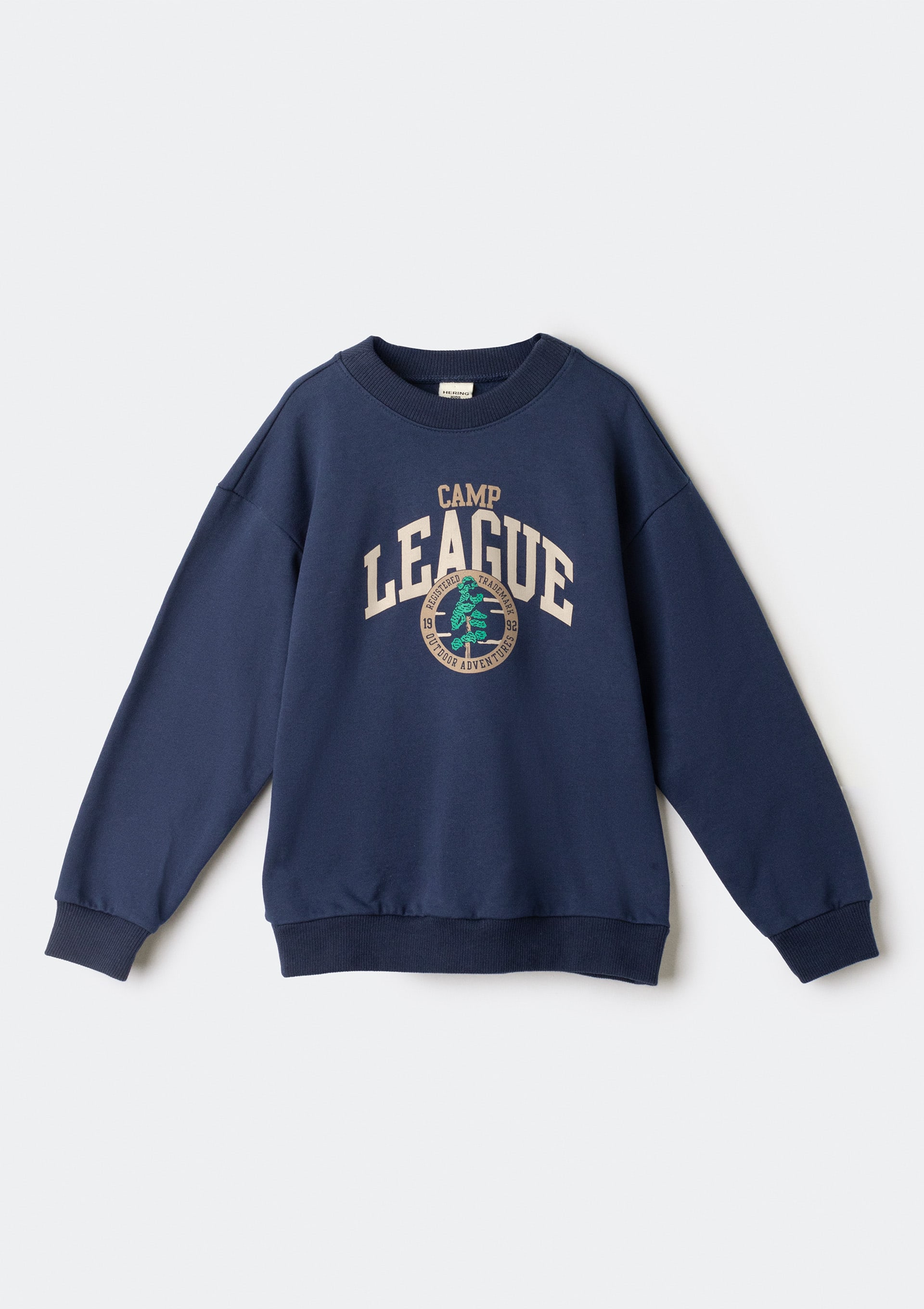 Blusão Infantil Menino em Moletom Estampado - Azul — Hering